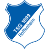 TSG Hoffenheim Logo